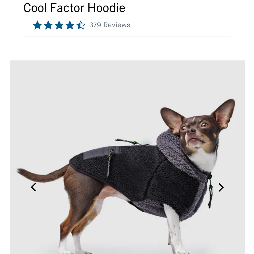 Canada Pooch Cool Factor Hoodie size 14